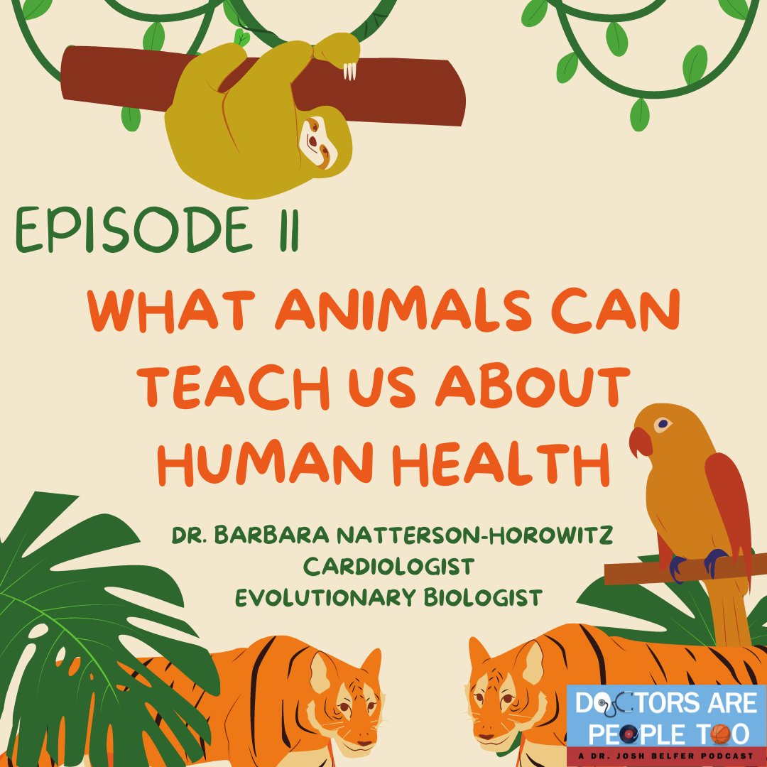 jbelf_56's tweet photo. 🚨NEW PODCAST: “What Animals Can Teach Us About Human Health” 🚨
Special guest: @BNHorowitzMD, Cardiologist and Evolutionary Biologist

- How studying animal health can help shed light on how we treat medical and psychiatric disease in humans 
 
https://t.co/fVGt2CIoP8 https://t.co/46ENLfswYi