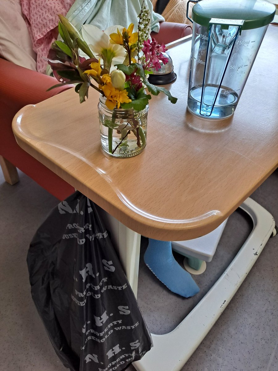 Meaningful Activities Dalgleish Ward. Spring has arrived. We have been making spring arrangements and enjoying chats about gardening and spring and enjoying some spring poetry 💐