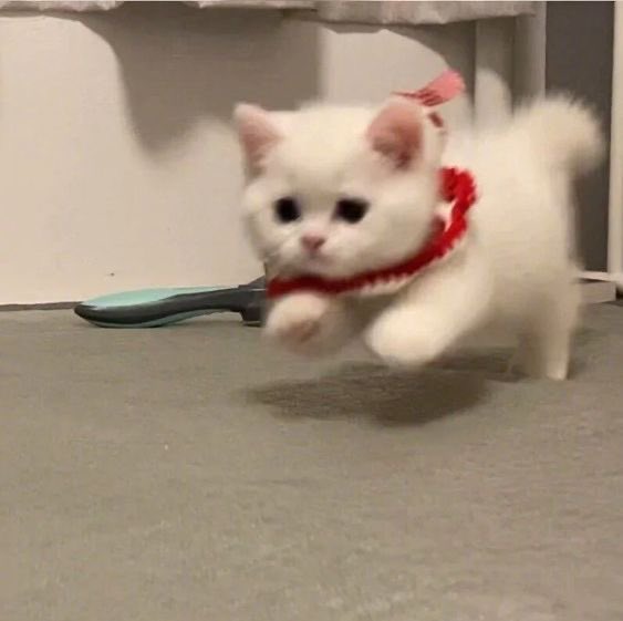 on my way to annoy my favorite person