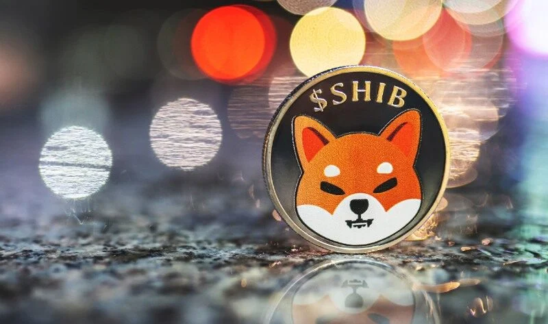 tulaydinerr's tweet photo. Congratulations, honey 😻😻🥰
#Shiba Inu (#SHIB) won the inter-coin competition launched by #BitPay, one of the largest crypto currency payment companies in the world, in mid-March Dec https://t.co/Mz0QqlbKPM