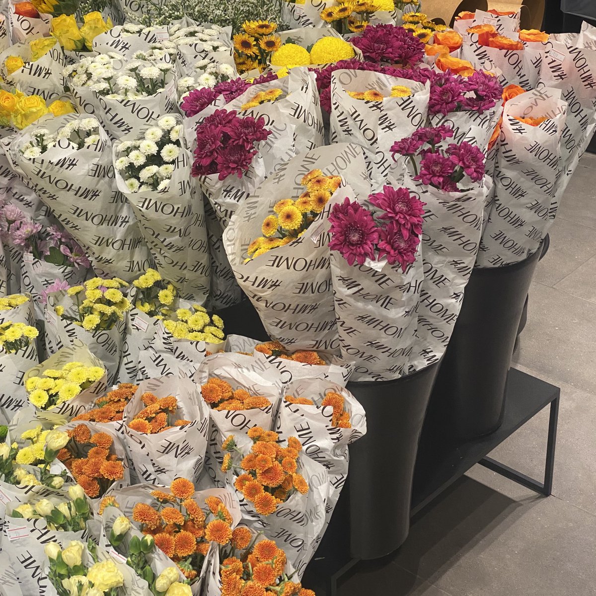 vanilattebaes's tweet photo. " If I had a flower for every time I thought of you , I could walk in my garden forever " https://t.co/u1XzZENuvM