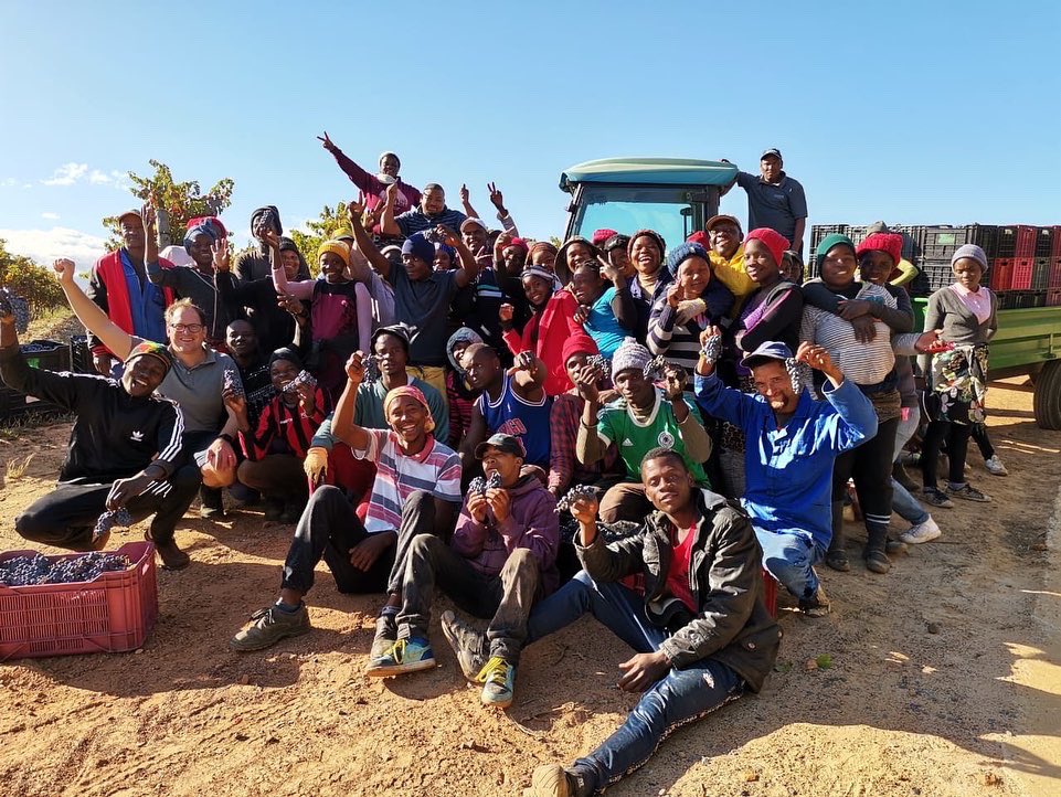 L'Avenir's 2022 harvest is done and dusted. Conditions suited early ripening conditions and again showed that our terroir is suited to Pinotage and Chenin Blanc. Thank you Dirk, our winemaking team and the extended L'Avenir family for another memorable harvest!

#TheFuture