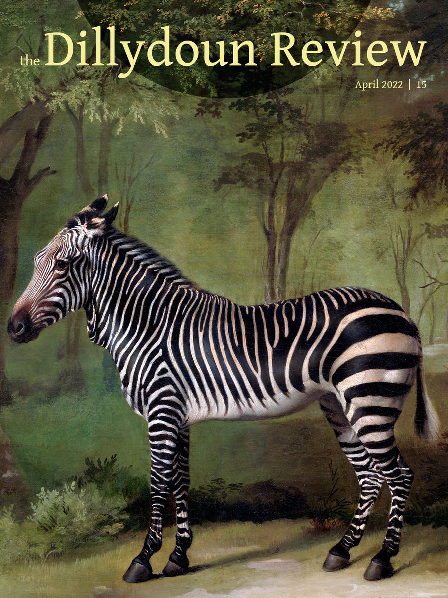 The Dilllydoun Review / Issue 15 Cover.