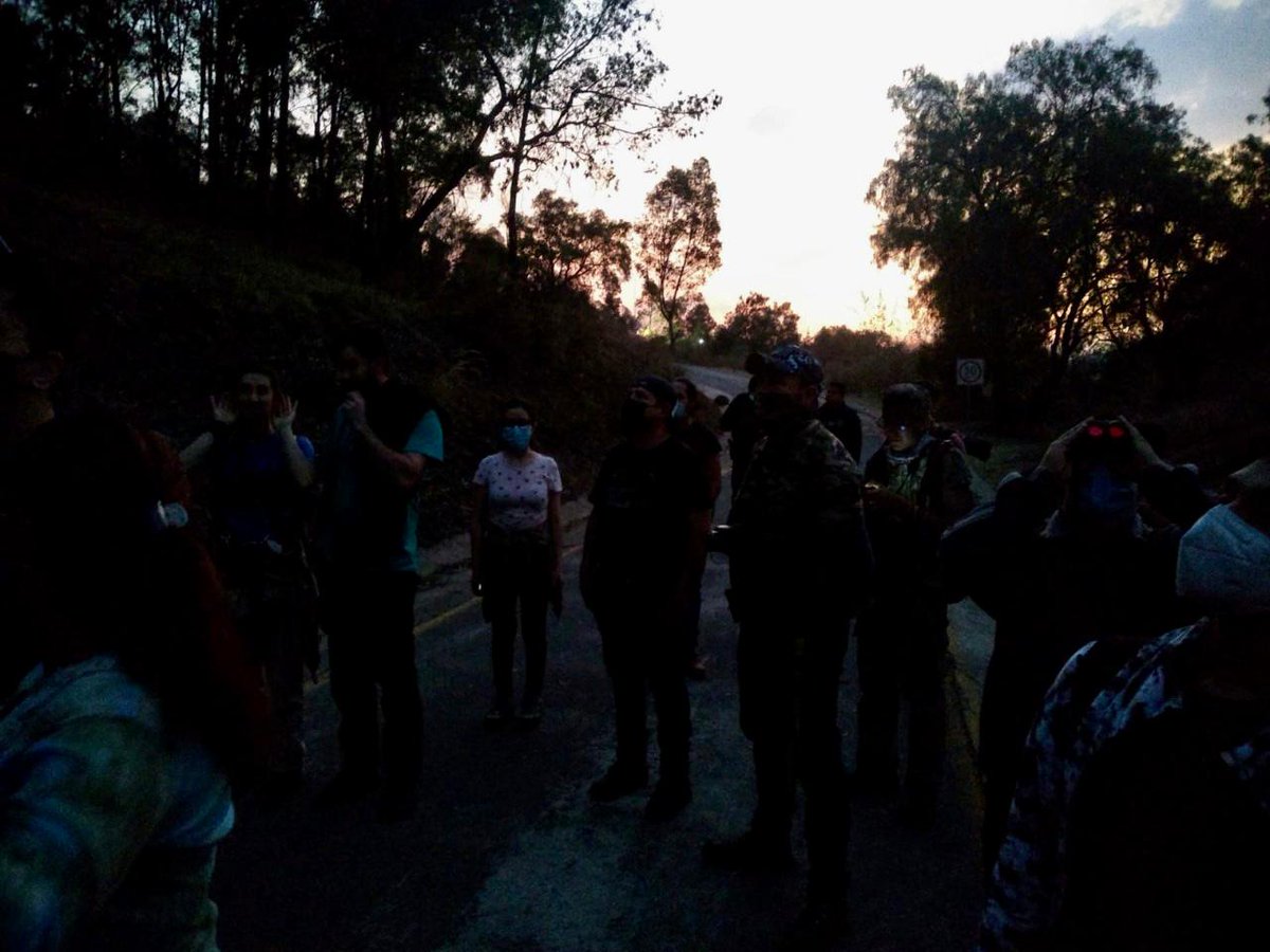 AmbienteEdomex's tweet photo. Conocer la avifauna existente en el #ParqueEstatalSierraDeGuadalupe, para crear conciencia a la ciudadanía a través de acciones que contribuyan a la conservación es el objetivo del campamento realizado por los #PAU #SierraDeGuadalupe,#SierraDeTepotzotlán, #Coacalco y #Tultitlán. https://t.co/RJCBxJ4TcH