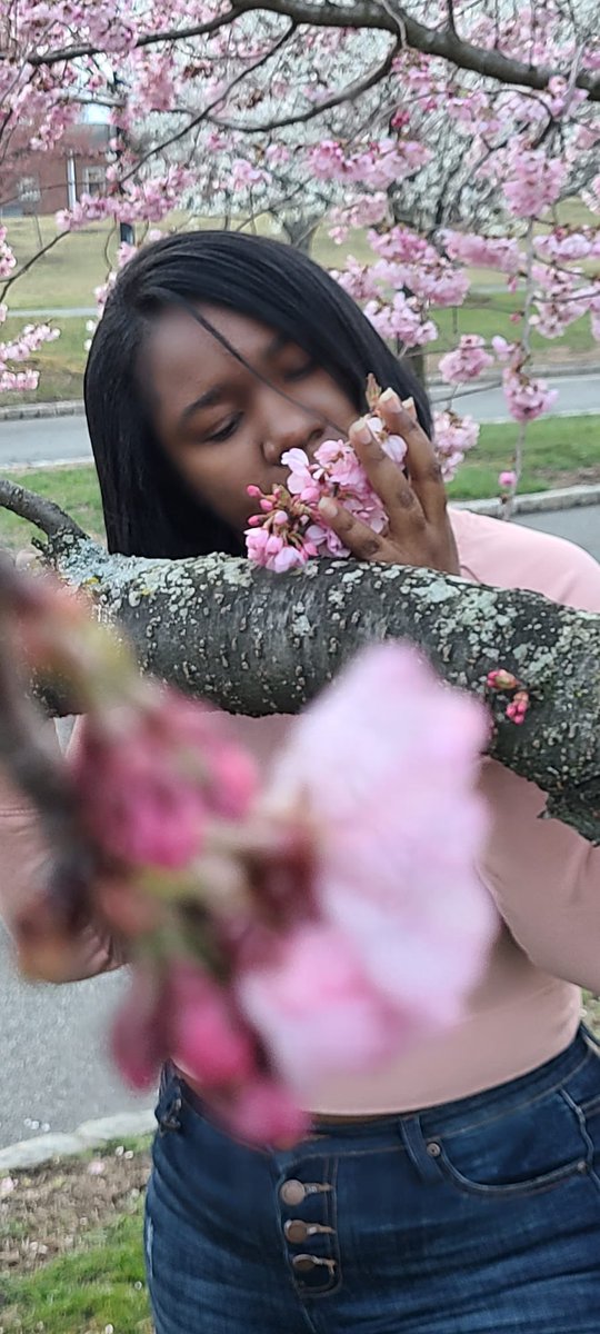 AliciaColas_'s tweet photo. Lo hermoso de la vida siempre está en los pequeños detalles.
#Primavera #cherryblossom https://t.co/UrEB0nxL75