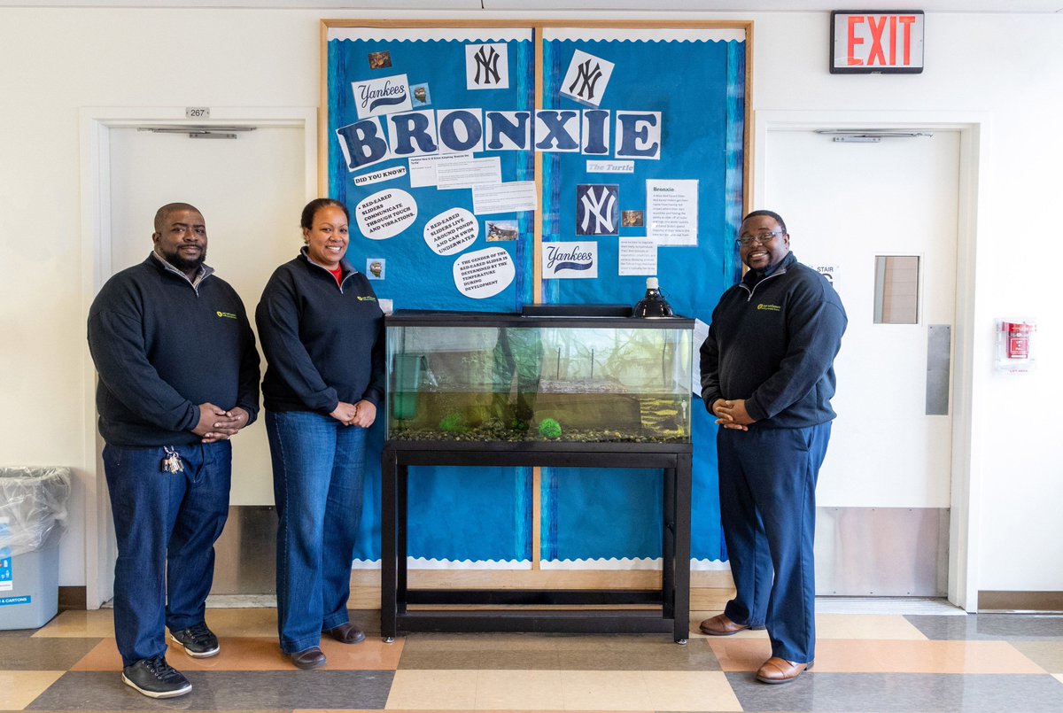 NewSettlementNY's tweet photo. The New York Yankees’ “good luck charm,” Bronxie, is getting a new home here at New Settlement Community Center!
#NewSettlement #NYC #Bronx #BronxCounty #NonProfit #NSCCBX #Turtle #Yankees #NewYorkYankees #NSCC https://t.co/4rke7cOjmi