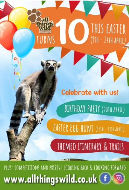 Nicola Maile tweet media