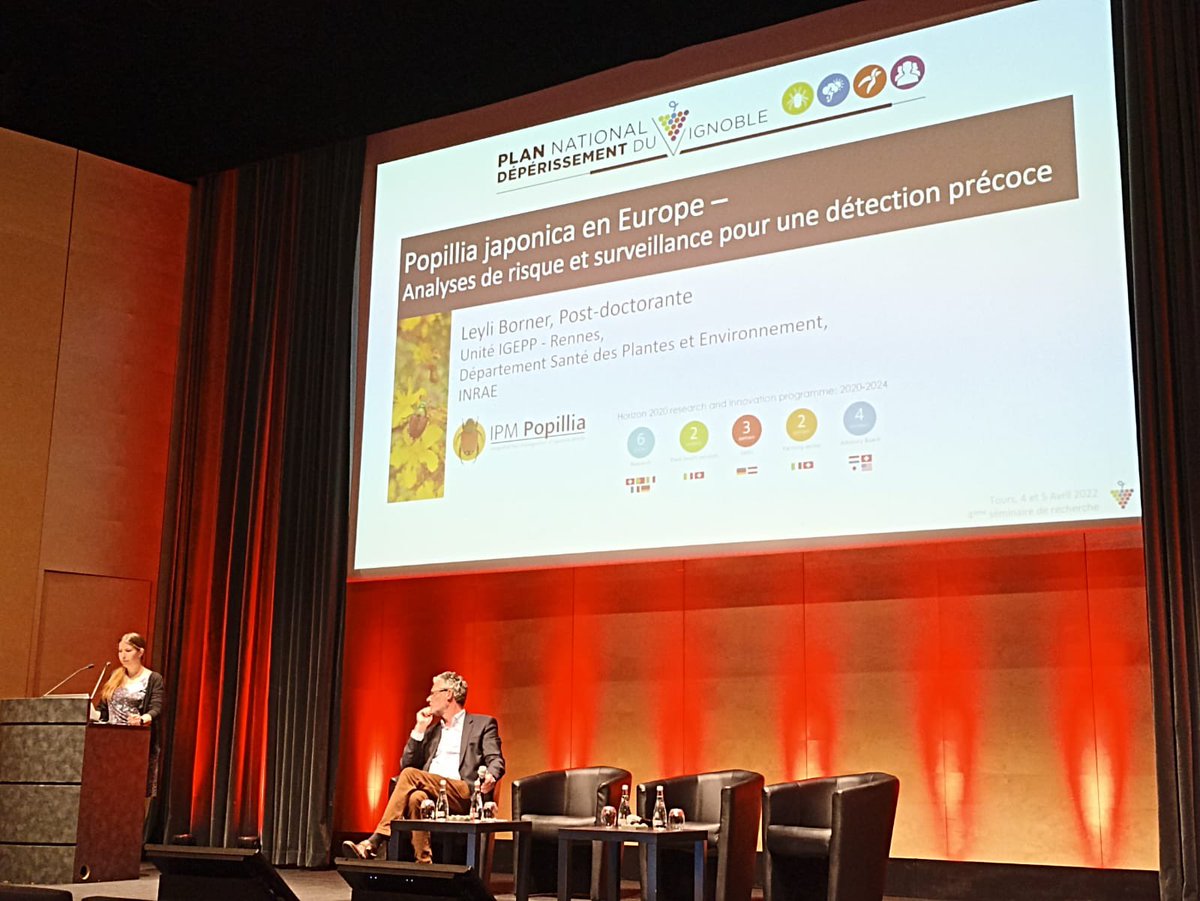 Leyli Borner tweet media