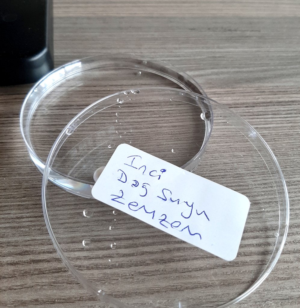 SerpilOzkan99's tweet photo. İster " İnci " den yayılan 
Bio-Uyumlu ve "DNA-RNA" onarımı yapan kalsiyum karbonat deyin ...

İster, Işık kayaları oluşmuş, Zemzemin mayalanmasının hızı artmış,deyin... https://t.co/6ZfCWW2sRV