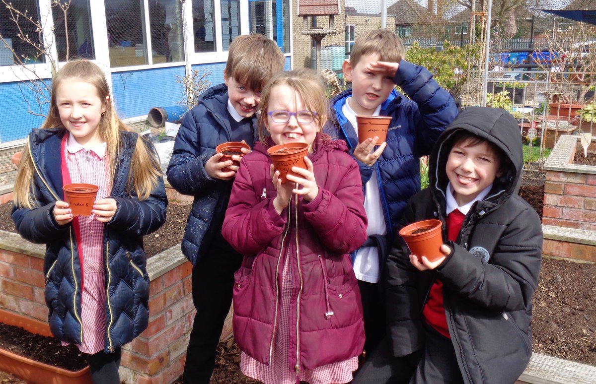 ChaucerJun's tweet photo. Some children from 4CT have enjoyed the 'Every1Plants' session this afternoon in the #schoolgarden They've chosen to plant from #peas #broadbeans #dwarfbeans #beetroot or #sunflowers Hope they grow well at home for you 💚 Mrs Wheatley @KerryLWheatley 🌻 #GrowYourOwn https://t.co/hd9M3YHcCA