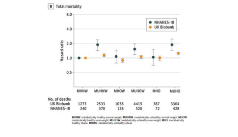 PubHealthPost's tweet photo. Databyte | Breaking Down the BMI

Researchers formulated a new definition of metabolic health based on systolic blood pressure, use of blood pressure medication, waist-to-hip ratio, and presence of diabetes symptoms.  https://t.co/JNOJKXZzGW via @hannah_tremont 

CC: @NIH https://t.co/Wj1gxbMpjI