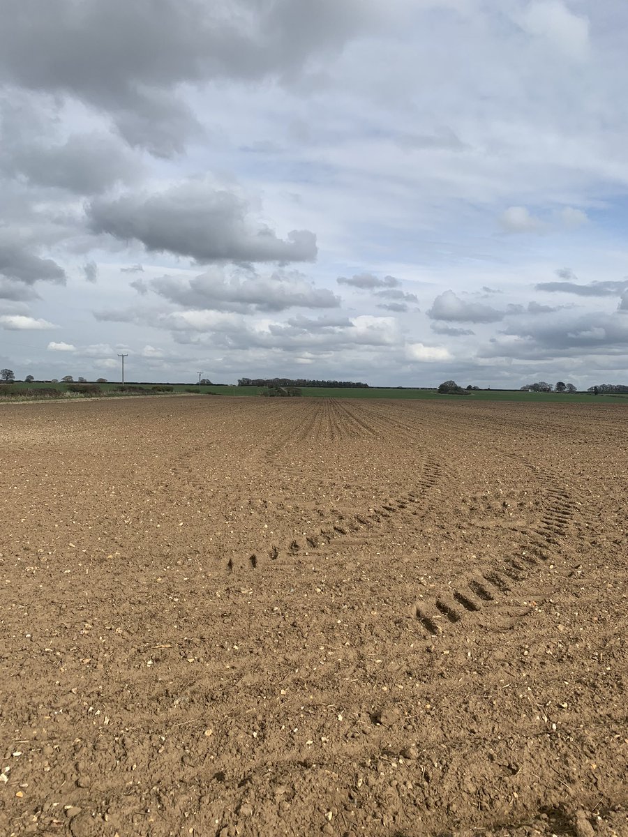 We’re underway. Drilled 02/04. Pre em of Goltix and 60kg N. Seedbeds beautifully moist.