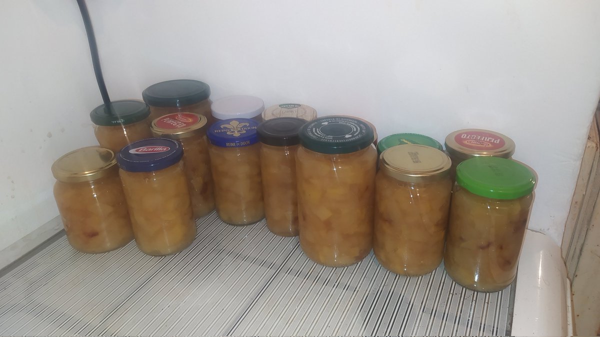 לידיעת הצייצן <a href="/Parpur_Akodd/">יהונתן</a>: