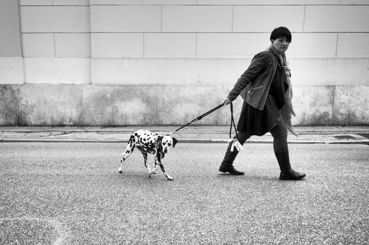 marcosecchi's tweet photo. Trieste in Black. and White...the photo not the dog!
.
#igersfvg #trieste #fvg #italia #blackandwhite #photography #streetphoto #friuliveneziagiulia #shopping #turismofvg #italy  #fvgphoto #enjoy  #trst #dog #dalmatian https://t.co/lB8DogDrl0