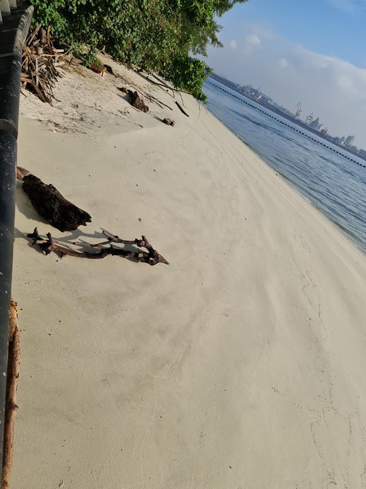 dd689958's tweet image. Coney Island Day Trip