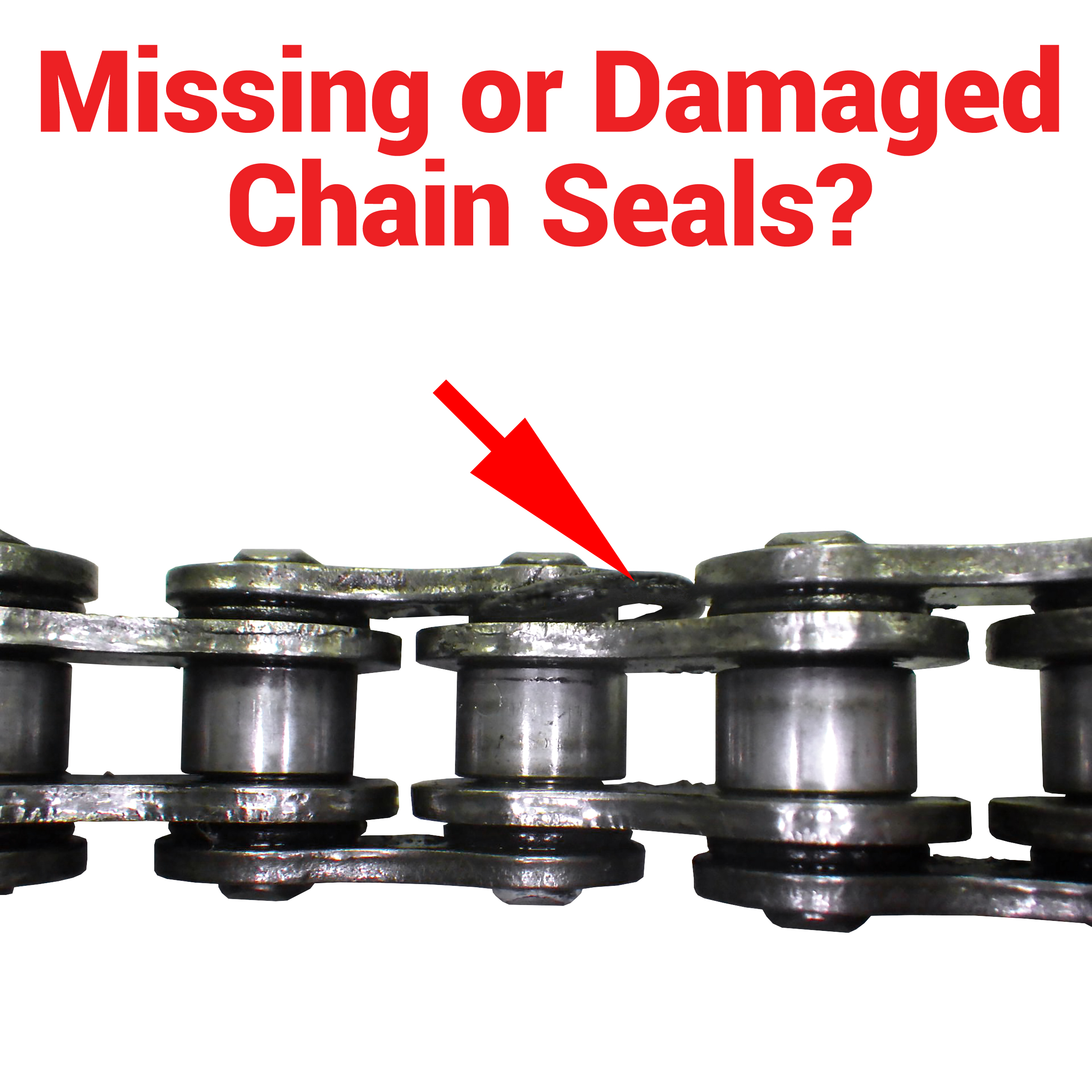 Rkexcelamerica Do You Have Missing Or Damaged Chain Seals Using Improper Cleaning Chemicals And Or Using Improper Cleaning Tools Ie Wire Brush Can Result In The Installed Chain Seals Drying Out