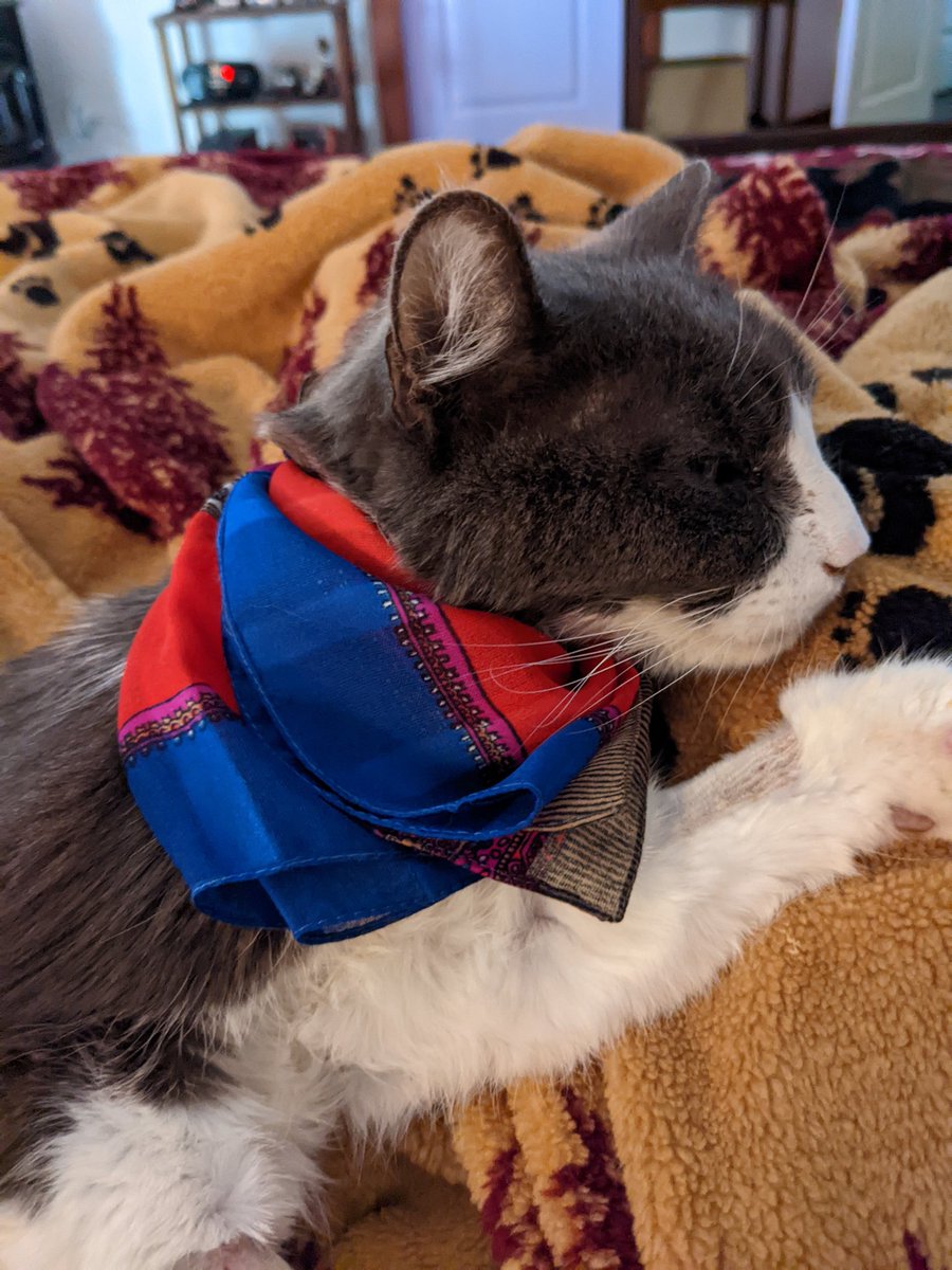 Phantom & Bruiser tweet media