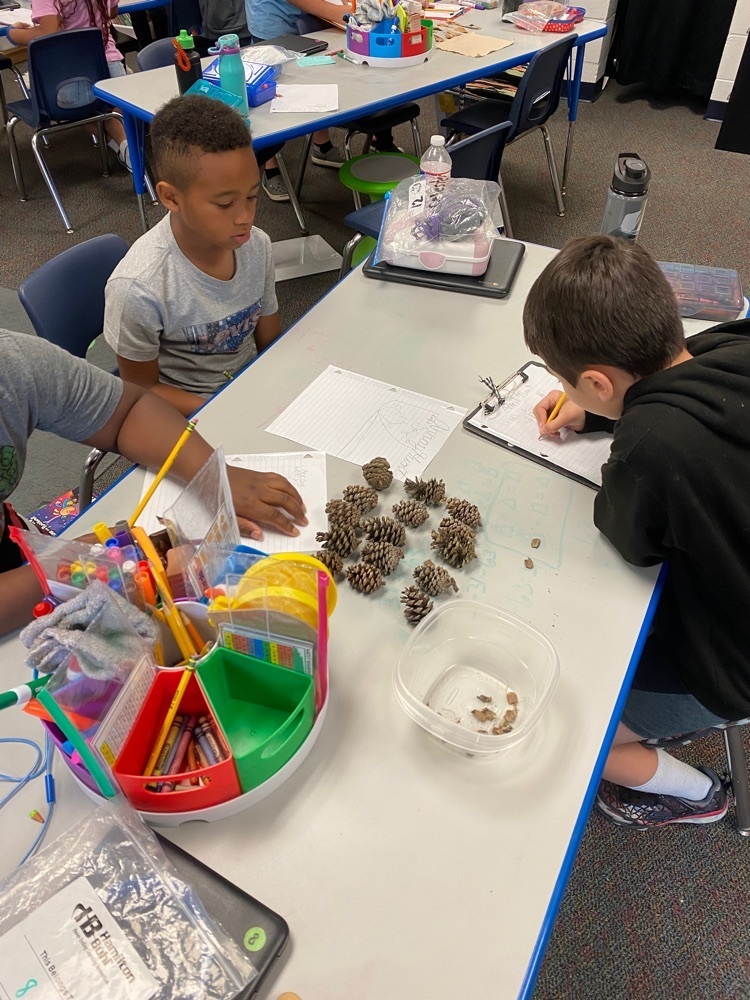 OwensTylerISD's tweet image. Hip-hip-“Array”!! Our Eagles are having so much fun as they use their array mathematician skills with things from nature! 🍂🐿 #SoaringInSecond #OwensEagles