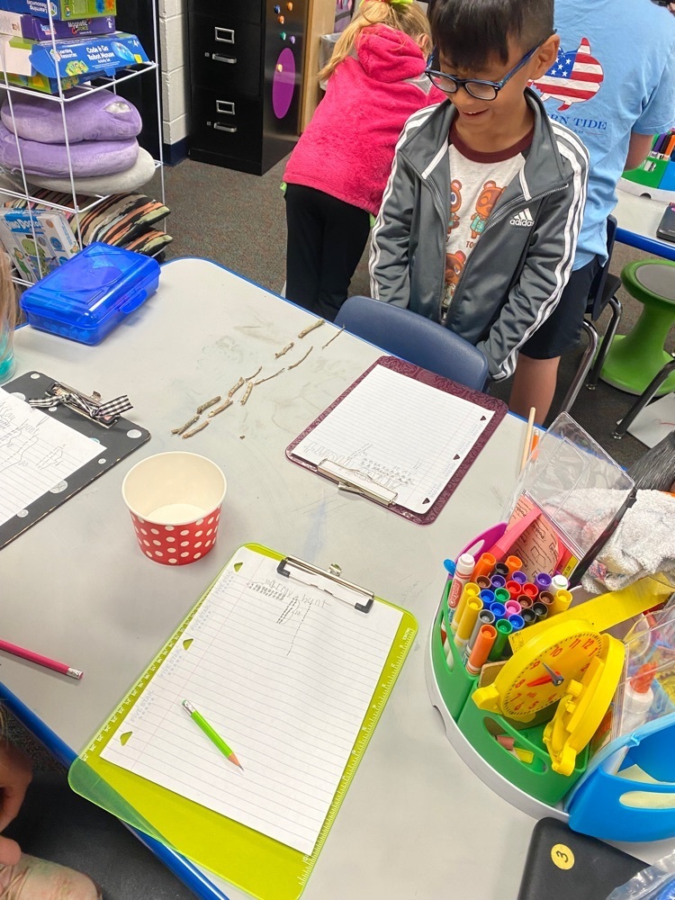 OwensTylerISD's tweet image. Hip-hip-“Array”!! Our Eagles are having so much fun as they use their array mathematician skills with things from nature! 🍂🐿 #SoaringInSecond #OwensEagles