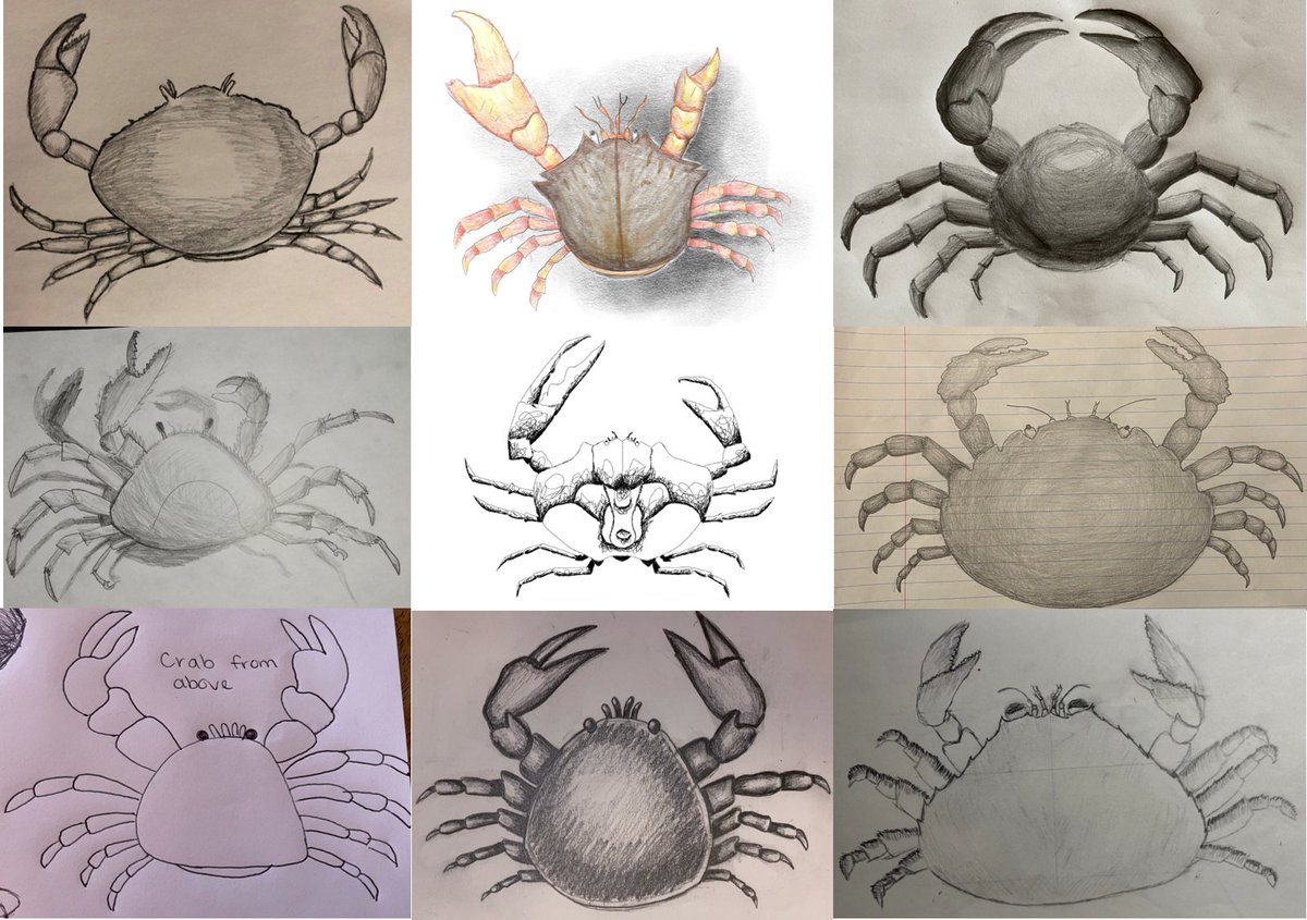 RookeAC's tweet photo. How to Crab @shrimpathiser #InsertAnInvert 4/7 https://t.co/1F8zHieXbg