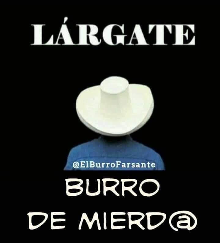 Lu_Fandrade's tweet photo. No voy a permitir que mi país sea un venezuela sea un Cuba quiero a mi país libre @PedroCastilloTe  renuncia no sirves no quieres a tu país quieres plata para tu bolsillo https://t.co/lPuaxcV7Wo