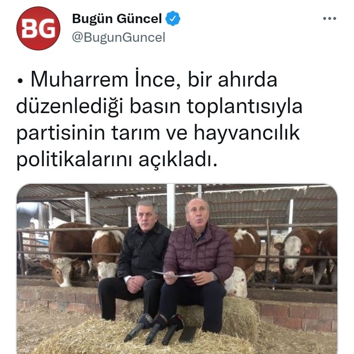 Uyuzbitip's tweet photo. Kitlesinin ilgisini nasıl çekeceğini iyi  biliyor. https://t.co/sgFLygRdDE