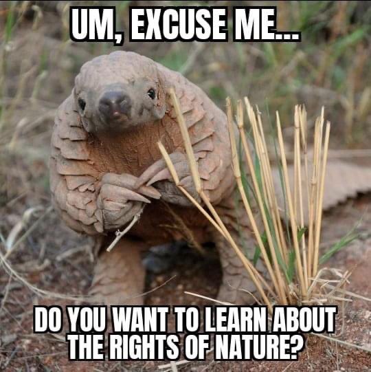 EarthJurist tweet media