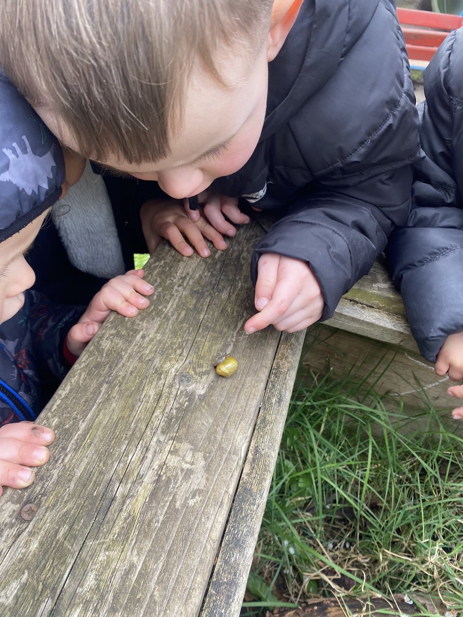ECOHumberstone1's tweet photo. F1 have created a bug area using wooden pallets &amp; logs. 👏🏻 
Today the children searched for a variety of mini bests and found a snail, lots of worms, wood lice &amp; a centipede! 👀 
We hope more bugs will reside here soon! @EcoSchoolsLCC 
 🐌  🪱 🕷 🐜 🐛 🪲 🐝 https://t.co/WLzIzQquzs