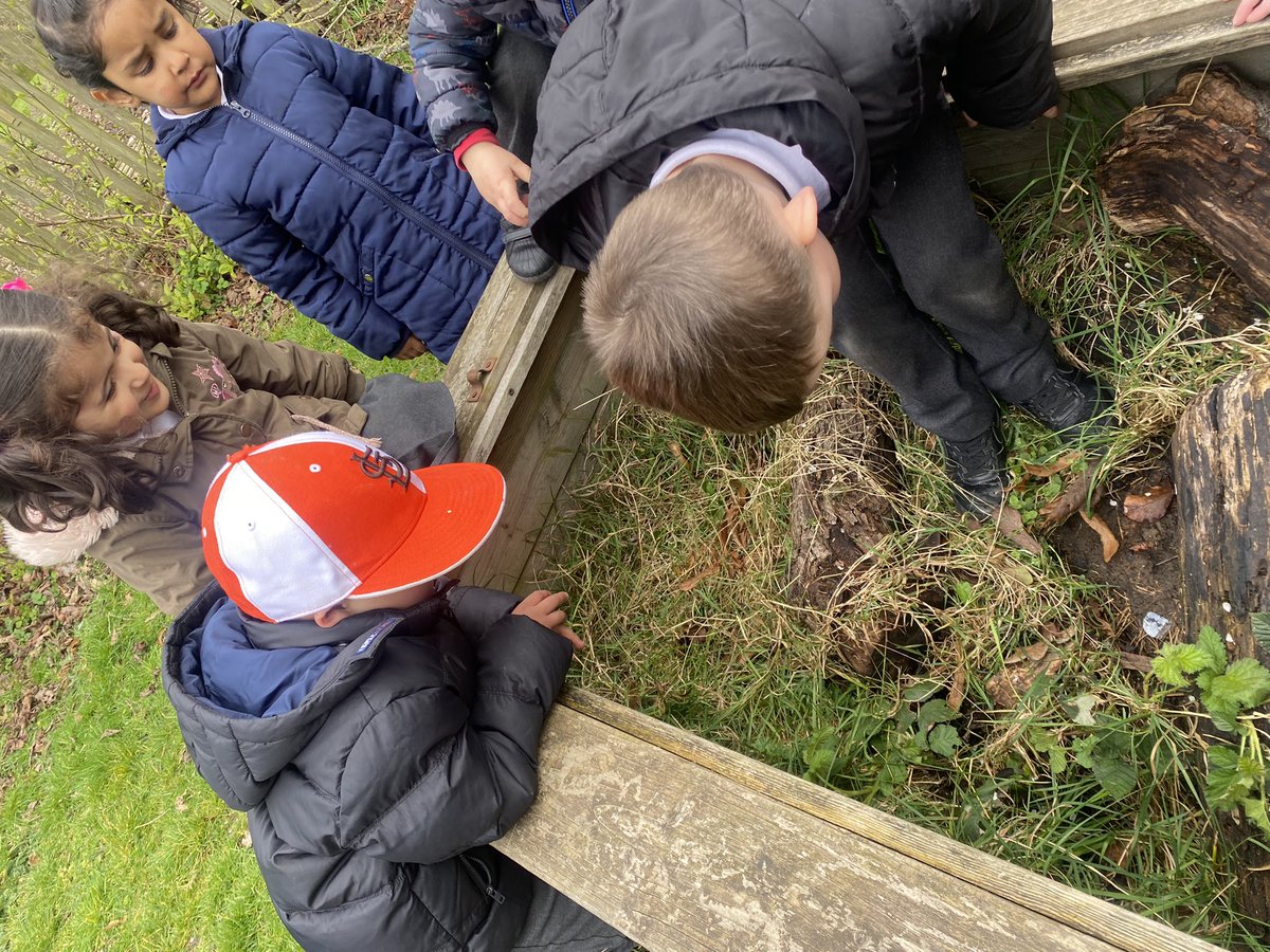 ECOHumberstone1's tweet photo. F1 have created a bug area using wooden pallets &amp; logs. 👏🏻 
Today the children searched for a variety of mini bests and found a snail, lots of worms, wood lice &amp; a centipede! 👀 
We hope more bugs will reside here soon! @EcoSchoolsLCC 
 🐌  🪱 🕷 🐜 🐛 🪲 🐝 https://t.co/WLzIzQquzs