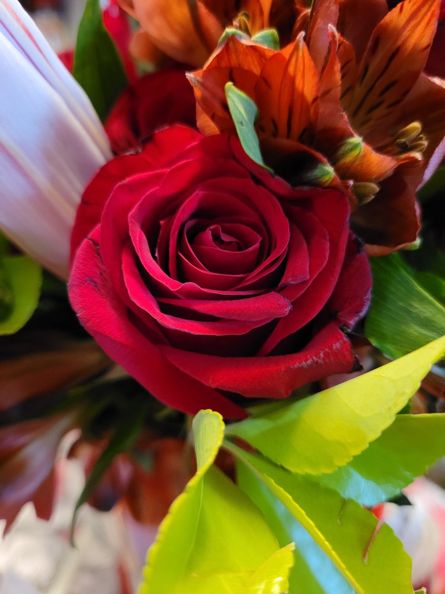 sanascookei's tweet photo. My sister received some beautiful flowers for her quince 🥺💞 #HeartsForHuni https://t.co/u0t5xAt67P