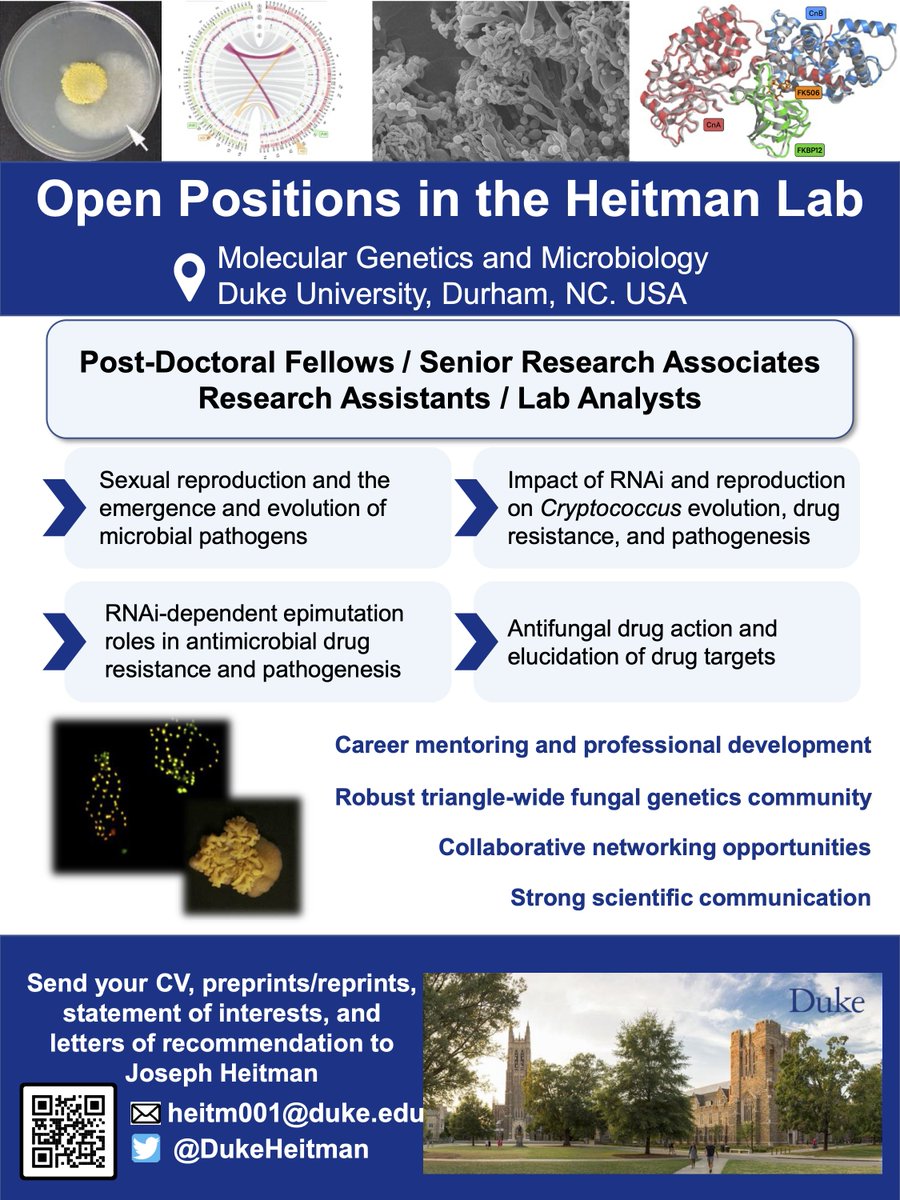 The Heitman lab (<a href="/DukeHeitman/">Heitman lab at Duke</a>) is recruiting for multiple positions (Postdoc, Senior Research Associates, Research Assistants, Lab Analysts) in areas across fungal biology, sexual reproduction, antifungals, and more in the <a href="/DukeMGM/">DukeMGM</a> department.