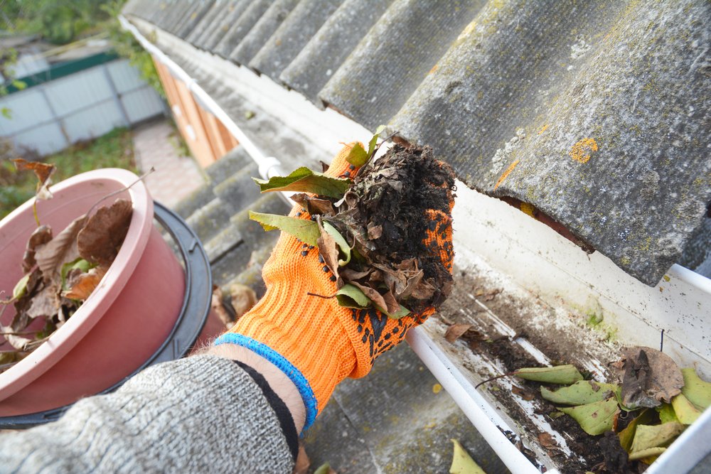 AAGInsurance1's tweet image. Get your home ready for spring with these FIVE maintenance tips.  aaginsurance.com/article/5-spri…  #LocalInsurance #AAGInsurance #TonyG