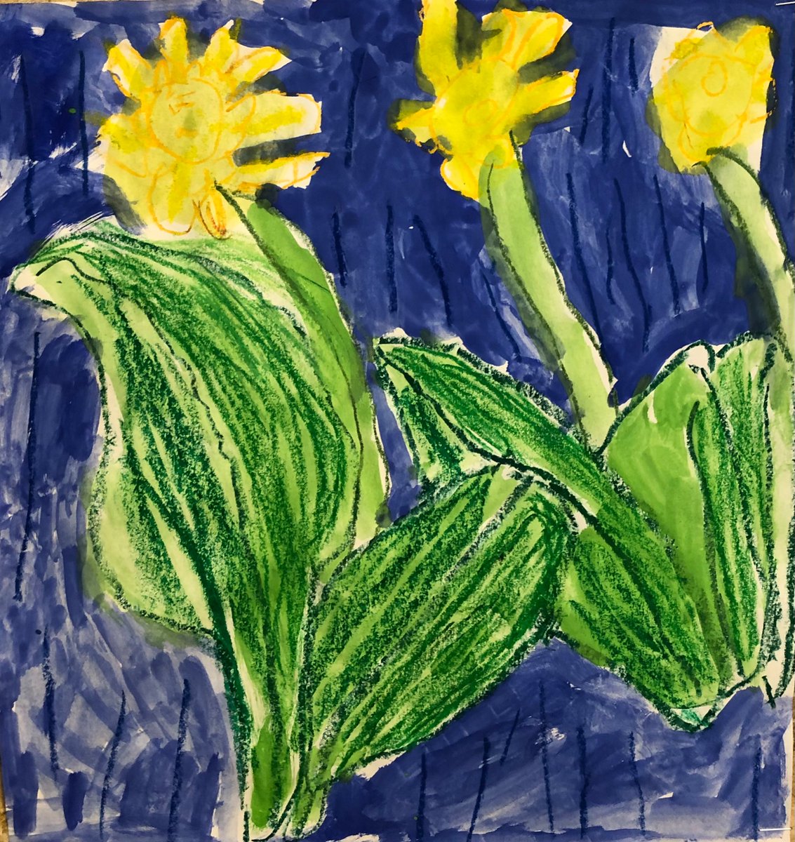 A host of golden daffodils flutter and dance in the breeze at EMJS.