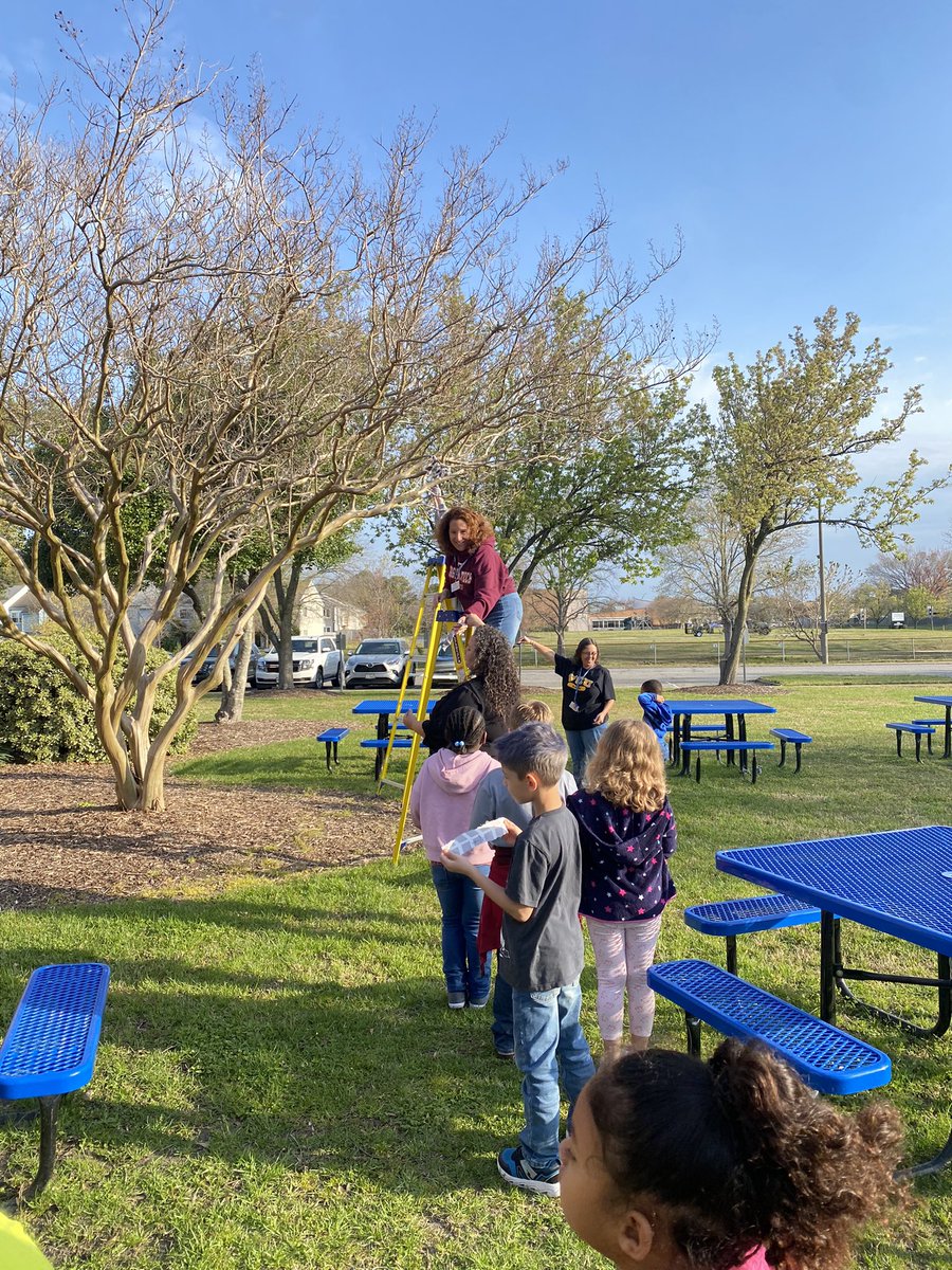 So exciting to watch our <a href="/RosemontEagles/">Rosemont Elementary</a> put their wishes on our very own Wish Tree🌳