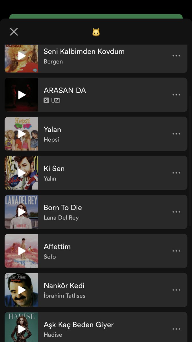 benim ruyalarin sacmalik seviyesi