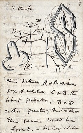 I'm a bit behind the news as had a busy day, but I just think it's incredible that Charles Darwin's stolen notebooks got returned.

Personally I'd hate people to see in my notebooks but it's great to see his ideas taking shape. Really fascinating.
#Darwin #DarwinNotebook