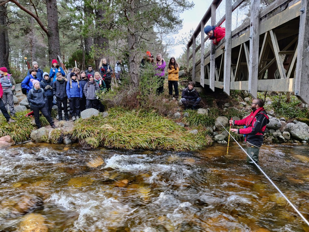 Mark Cutler tweet media