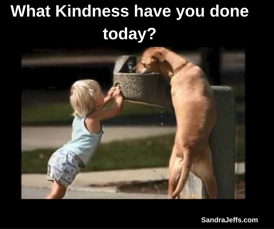 Author_S_Jeffs's tweet photo. Get up each day and declare your intention to do a kindness for yourself, and for another person. What kindness have you done today? https://t.co/ea9u7D4YUJ https://t.co/0ffMTX4m9d
