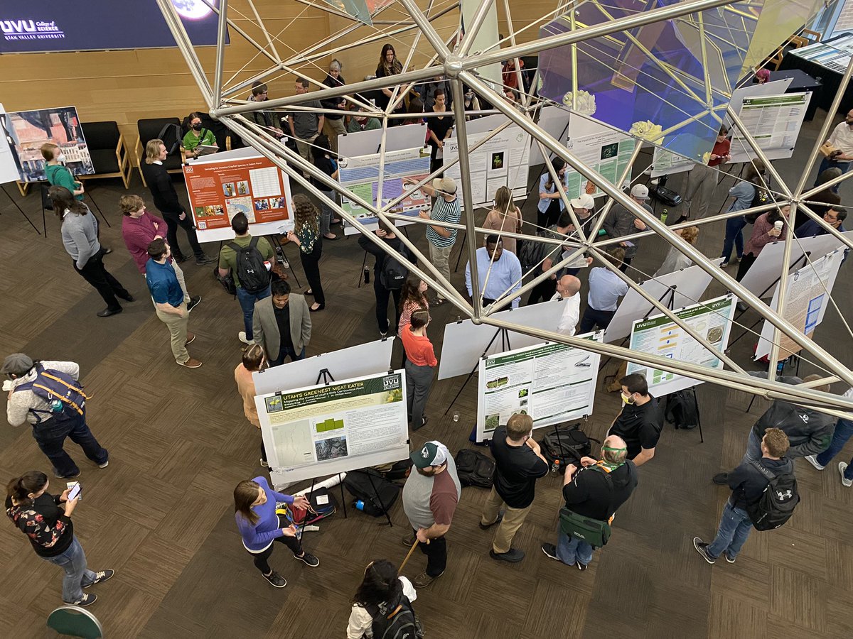 Heath Ogden tweet media