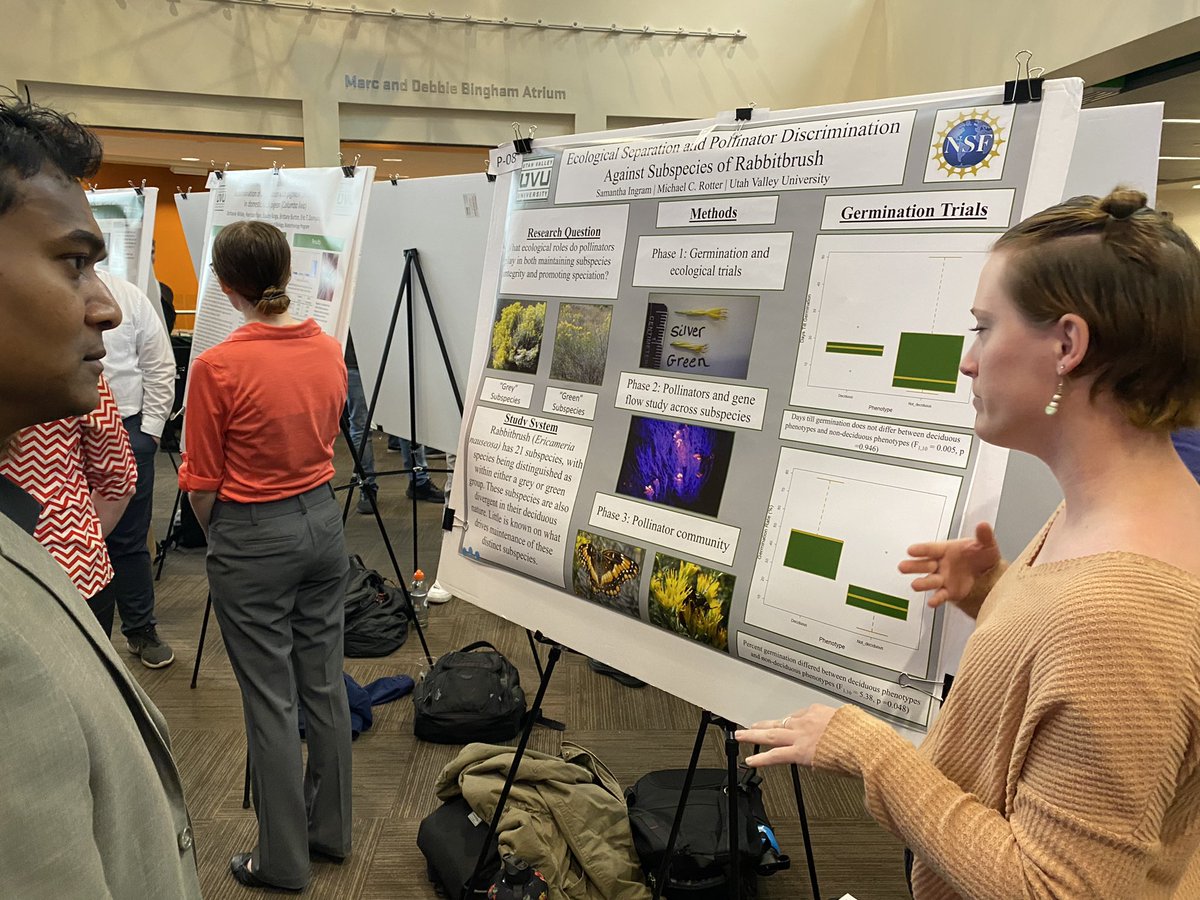 Heath Ogden tweet media