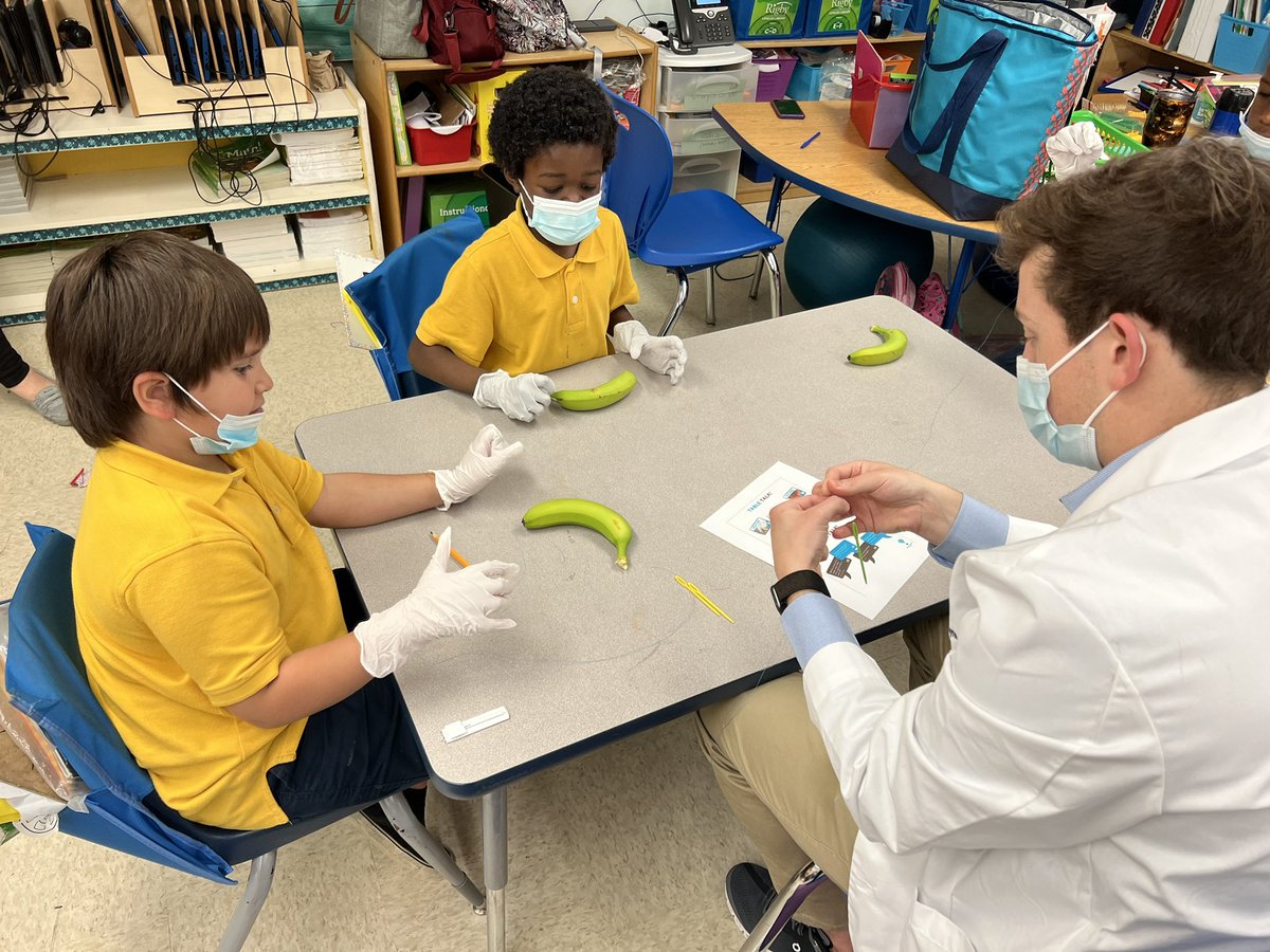 macgregores's tweet photo. Our tigers are “prepping for surgery”! Thanks to students from Baylor College of Medicine for sharing career exploration activities with their Dream Outside the Box program. https://t.co/I49QcW8CmB