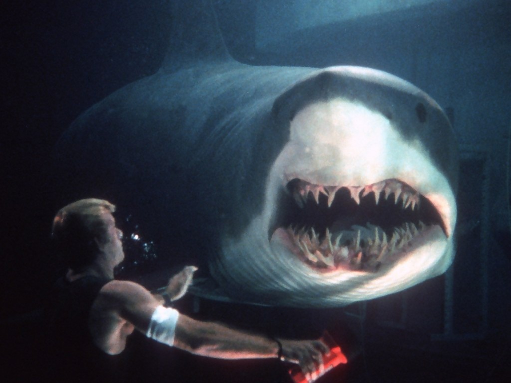 Meghannofdragon's tweet photo. Je me dis que dans les années 2000, on avait des bons nanards sur les animaux 😂 et le pire c'est que j'adorais regarder ça. Mention à Peur bleue qui reste mon film préféré sur les requins 🦈 #Nostalgie #cinéma #peurbleue #Python #Lakeplacid #Aracattack https://t.co/FULniV53gu
