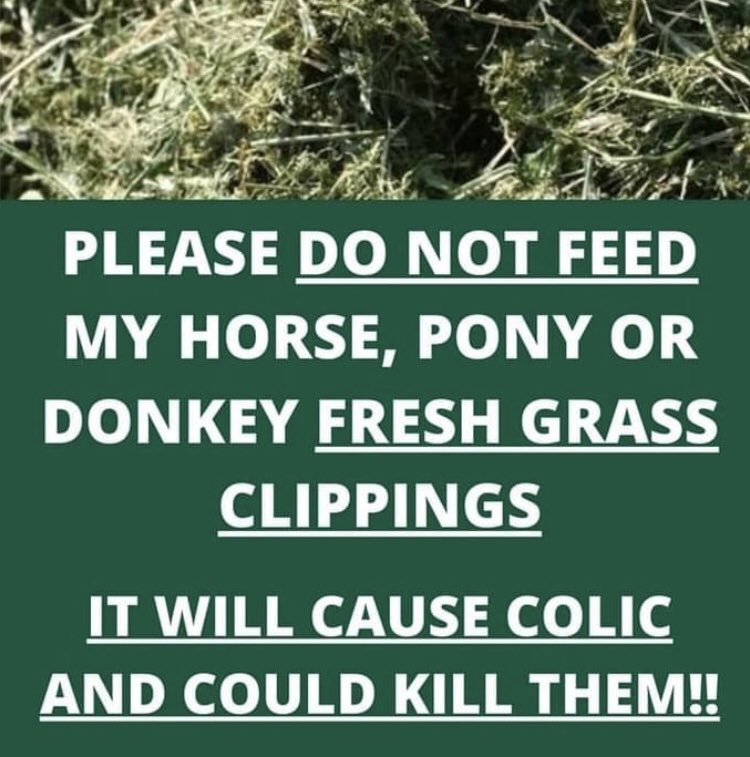 IHWTMoscowFlyer's tweet image. Unfortunately every year we see and hear about horses dying from being fed freshly cut grass clippings - please DONT DO IT!!!!
We encourage horses owners to this out, laminate it and stick it on your paddock gate or fence.