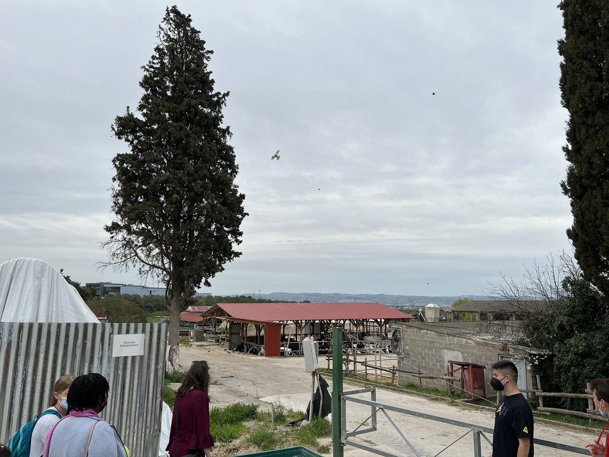 Letot_Carson's tweet photo. Great day yesterday at #aiaee opening session with a tour of the @farm_american & @PerrotisCollege in #Thessaloniki ! Glad to be here engaging with educators and talking about global learning on behalf of @globalteachag https://t.co/CgFwHB2Yer