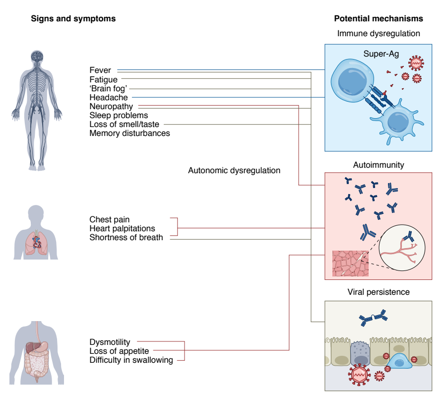 BrodinPetter's tweet photo. 1/ HGE (https://t.co/VMUVMAo1bJ) position paper on #LongCOVID #PACS . By focusing on the most severe patients, w severe organ damage/dysfunction following mild/moderate #COVID19 - we will search for genetic and immunological mechanisms of disease https://t.co/dZQPEoNkhl https://t.co/tgblk7oFQG