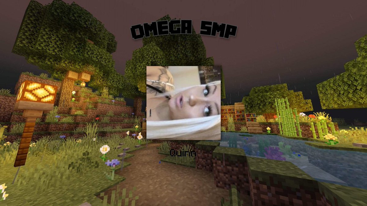 0megaSMP's tweet image. Up next, we have Quinn. The final two members will be revealed soon..