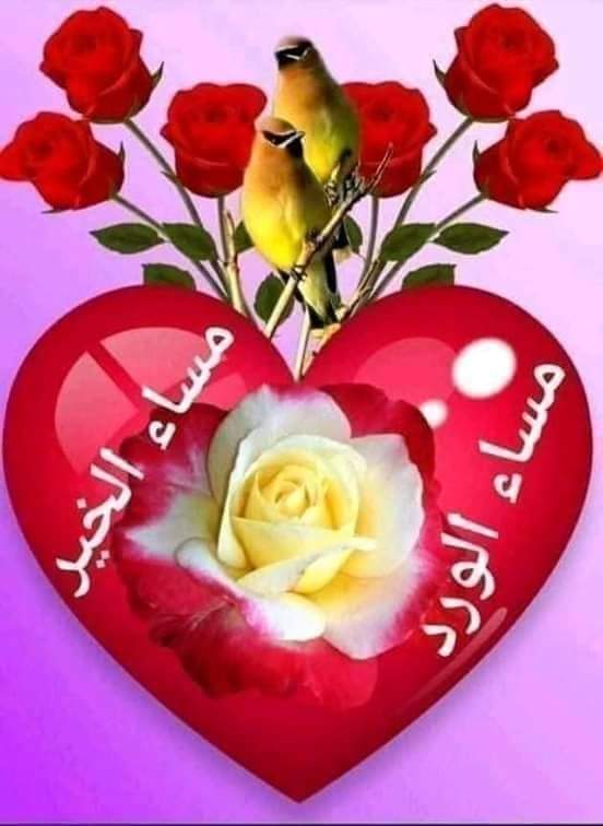 ايهاب الهواري (@alhwaryayhab) on Twitter photo 