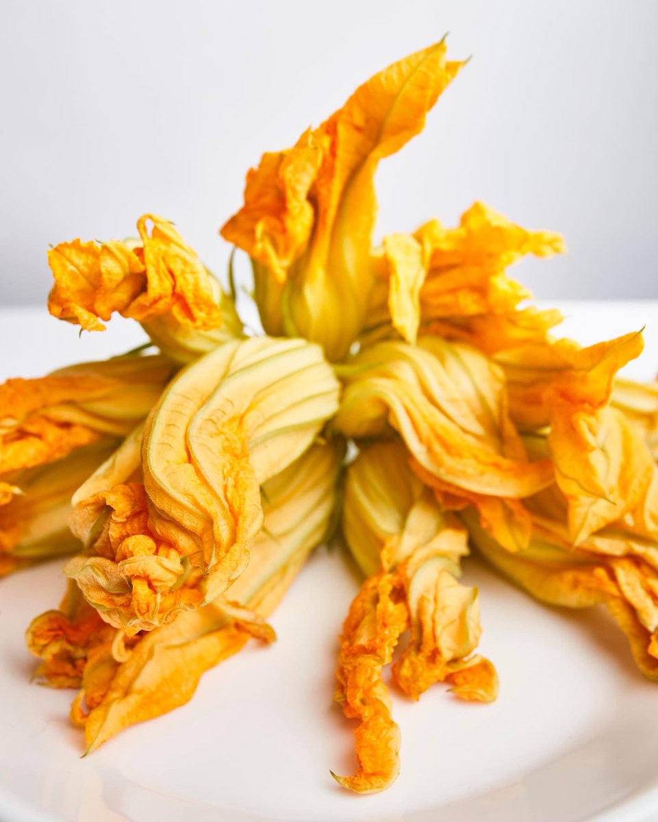 ericripert's tweet photo. STUFFED ZUCCHINI FLOWERS!
To celebrate the start of zucchini flower season I’m sharing this recipe from #vegetablesimple …I love how these flowers are delicate and have a unique flavor…enjoy! 😀 https://t.co/RJXb3uKOue