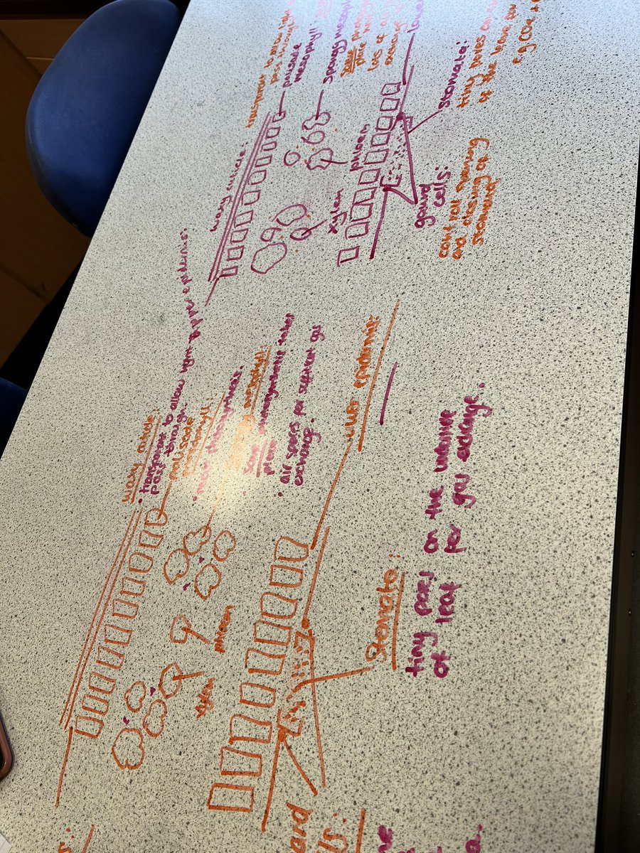 Biology_BearsdenAC tweet media