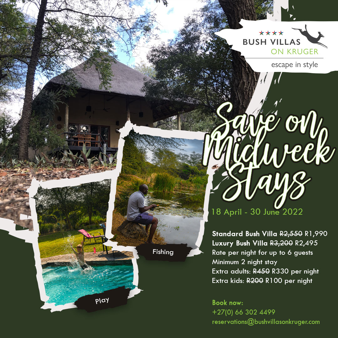 Save on Midweek Stays 18 April - 30 June 2022! Standard Bush Villa R1990/Luxury Bush Villa R2495 bushvillasonkruger.com #bushvillasonkruger #travelsouthafrica #krugernationalpark #shotleft